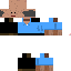 Texture for Fa DaTsai