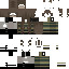 Texture for idl