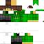 Texture for Conortheminer912