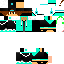 Texture for dino