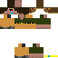 Texture for noobík1