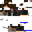 Texture for Spelevinken