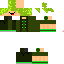 Texture for s12 s