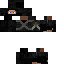 Texture for PixeledNinja