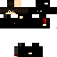 Texture for flashhagibor with ninja