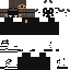 Texture for Steve