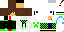 Texture for creeper raper