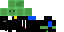 Texture for char
