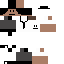 Texture for Steve 