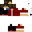 Texture for wsdsa