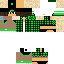 Texture for lucas