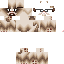 Texture for grumpy cat with classes