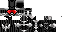 Texture for xshot