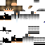 Texture for Me