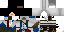 Texture for Conner