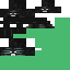 Texture for WITHERRR