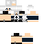 Texture for Luna