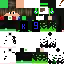 Texture for Steve