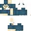 Texture for leoo