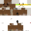 Texture for KingFloppa