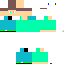 Texture for Scort2