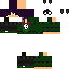 Texture for Phantom Bin Rio