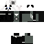 Texture for pandix plays