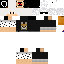 Texture for LinkHG