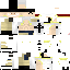 Texture for Ewate newgate