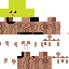Texture for マイクラスキン