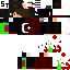 Texture for PowerNinja