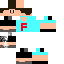 Texture for fe coniz