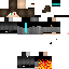 Texture for SwiiPs
