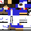 Texture for steve