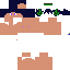 Texture for ryu