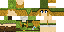 Texture for femlink2
