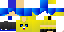 Texture for ds