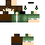 Texture for steve