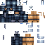 Texture for ninja4