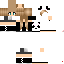 Texture for c v