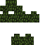 Texture for Paja7
