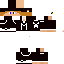 Texture for max