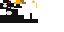 Texture for penguin2