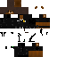 Texture for Urso 