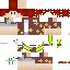 Texture for apuh SL prefeito