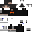 Texture for SSSR