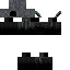 Texture for Final