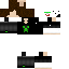 Texture for STEVE