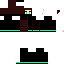 Texture for ninja chan