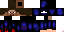 Texture for Ninja Master
